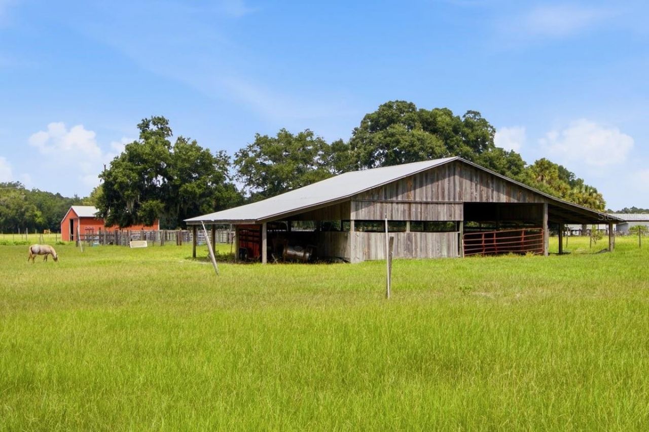 2259 Brownlee Road, Seville, FL 32190 Photo