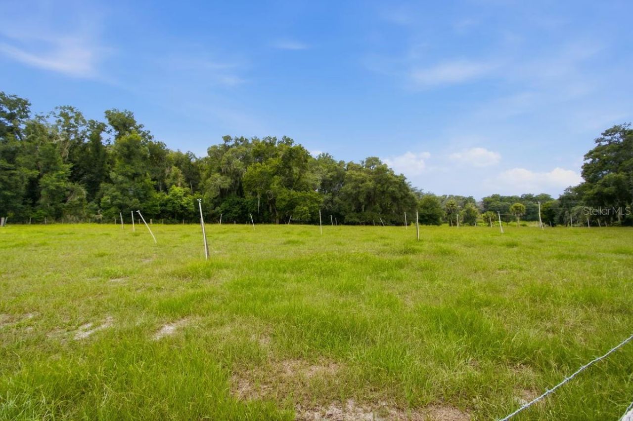 2259 Brownlee Road, Seville, FL 32190 Photo