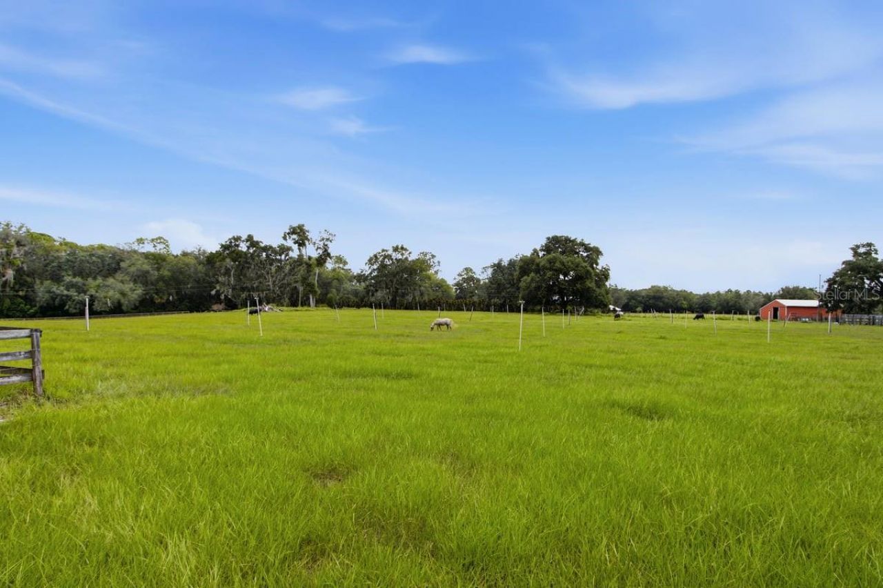 2259 Brownlee Road, Seville, FL 32190 Photo
