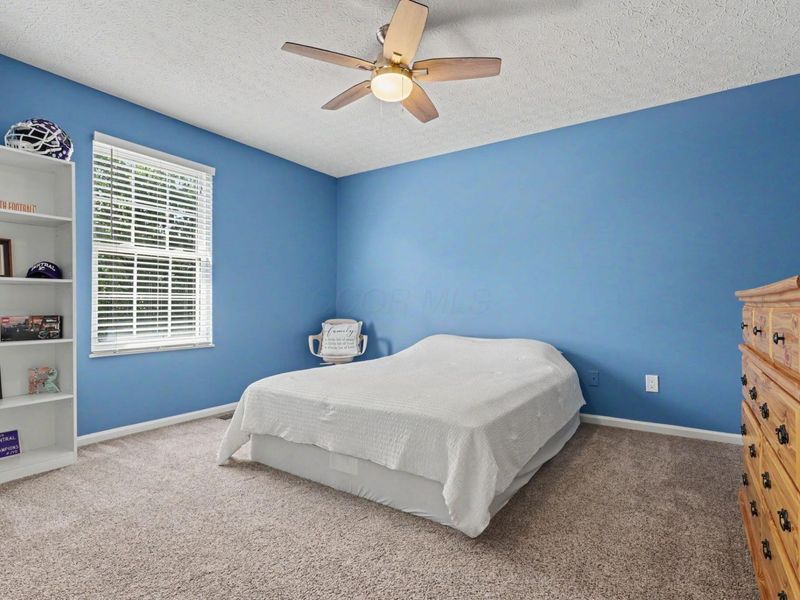 389 Rambling Brook Drive, Pickerington, OH 43147 Photo 35