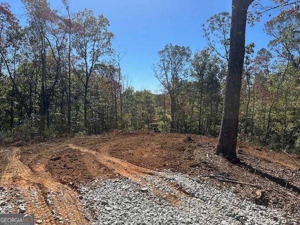 3.71 Yancy Drive, Dawsonville, GA 30534
