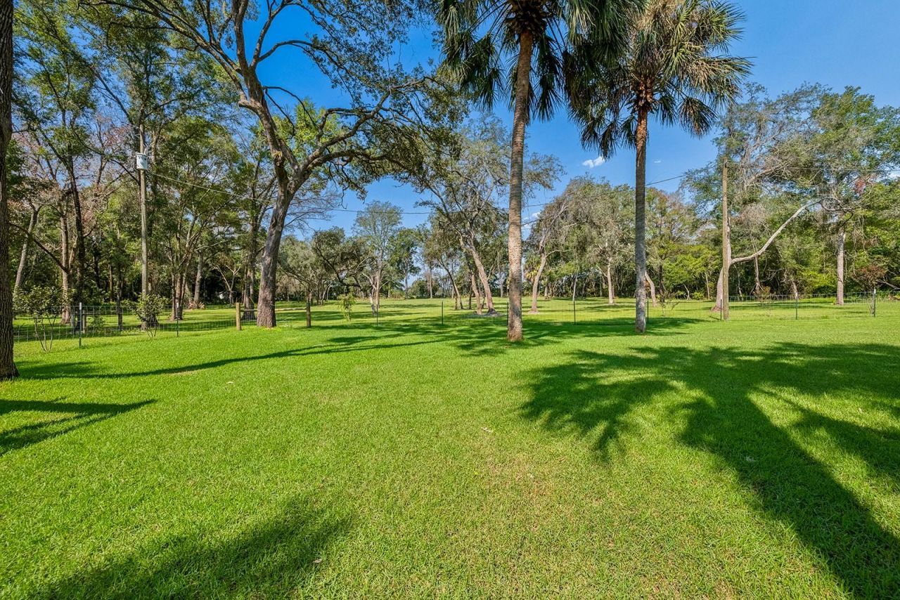 36 NE 445th Avenue, Old Town, FL 32680 Photo