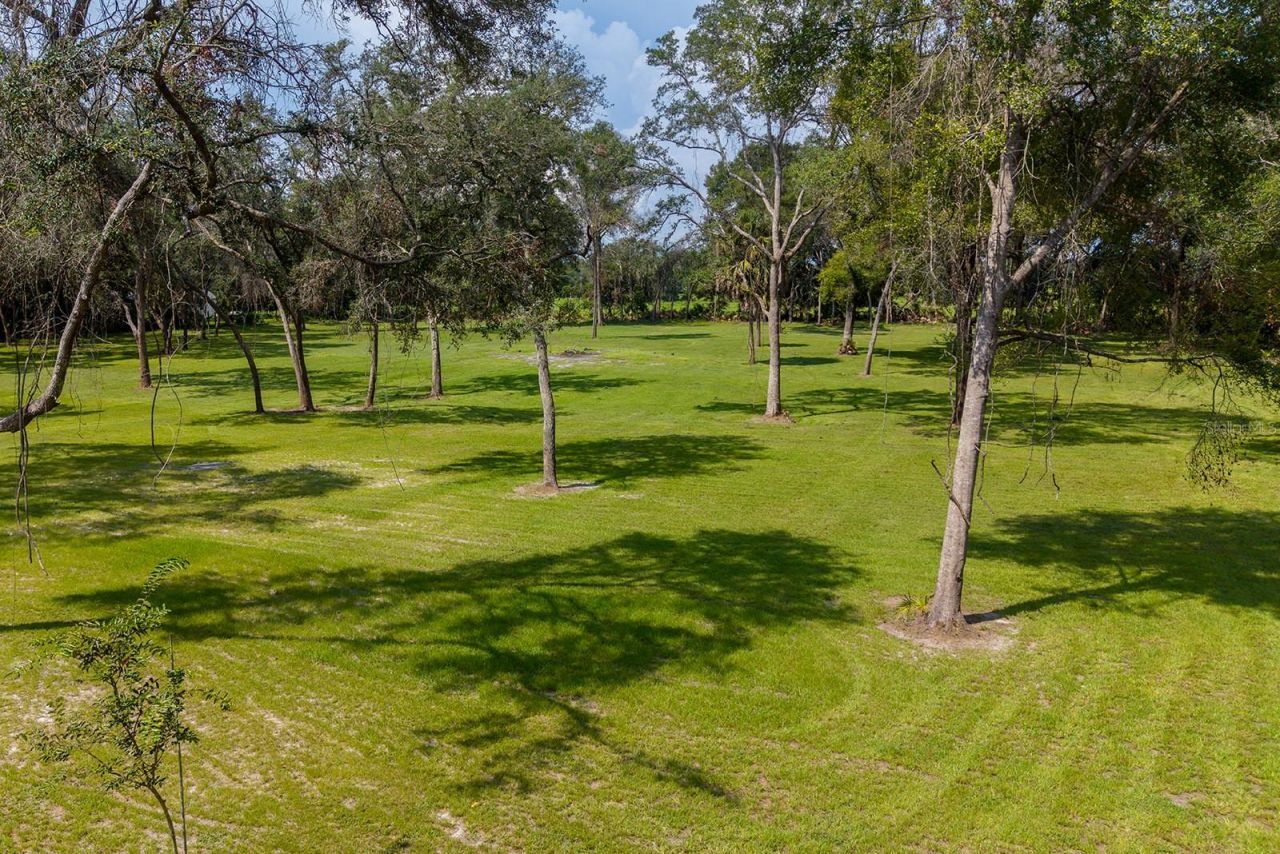 36 NE 445th Avenue, Old Town, FL 32680 Photo