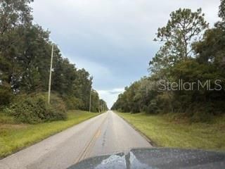19279 SW 96th Loop, Dunnellon, FL 34432 Photo