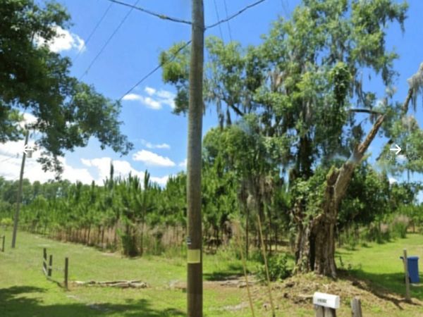 HOLLY LANE , LUTZ, FL 33558