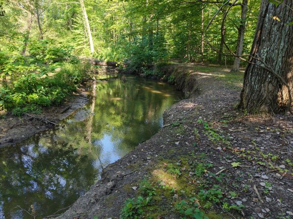8040 W Martin Road, Three Oaks, MI 49128