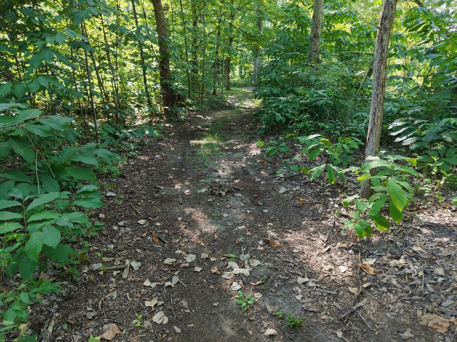 Property Image 19