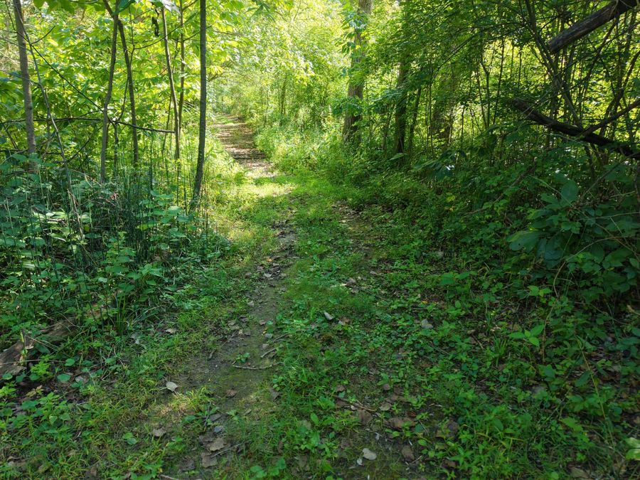 Property Image 21