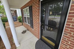 179 Courtside Drive  photo 4