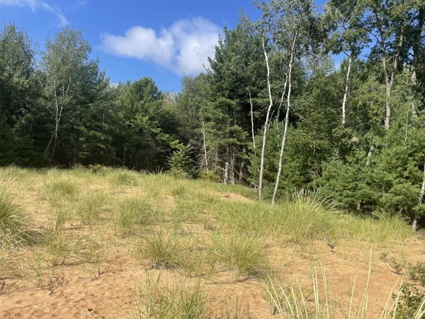 6367 N Dune Grass Trail, Hart, MI 49420