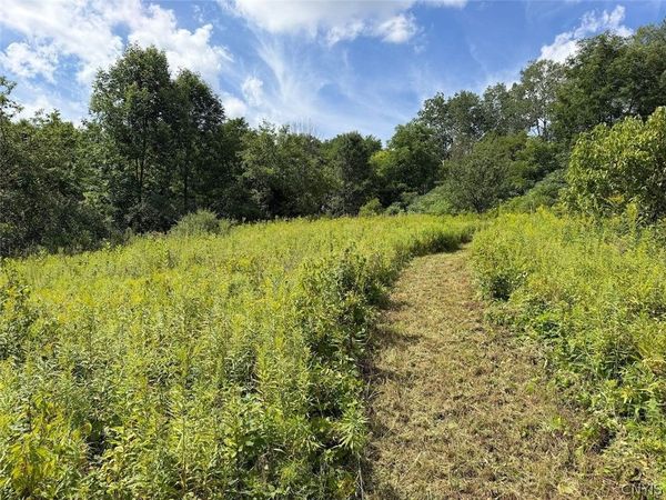 Dye Road, South Dayton, NY 14138