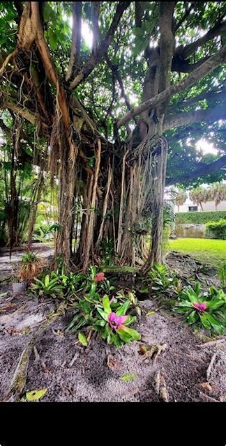 1723 Embassy Drive, Unit 103, West Palm Beach, FL 33401 Photo