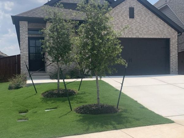 221 Rosebush DR , Liberty Hill, TX 78642