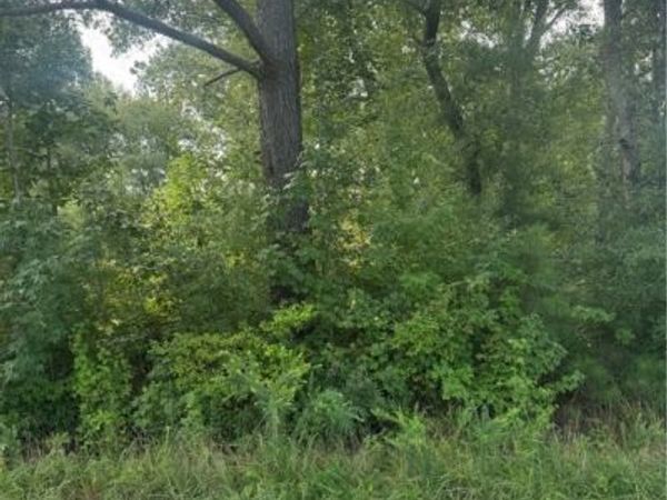 0 Brooks, Colonial Beach, VA 22443