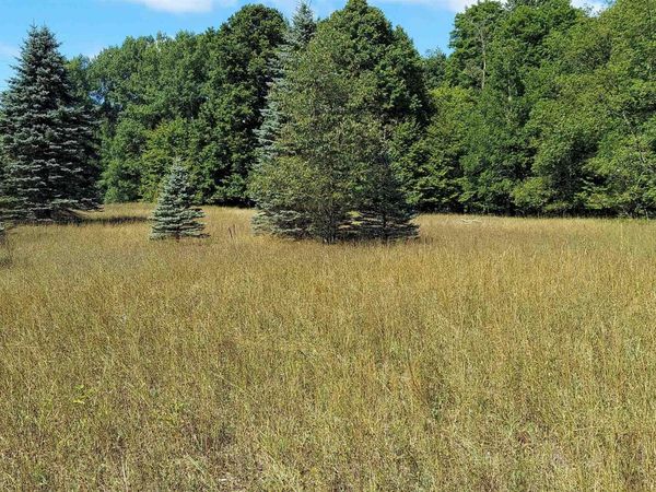3623 DB Trail, Bellaire, MI 49615