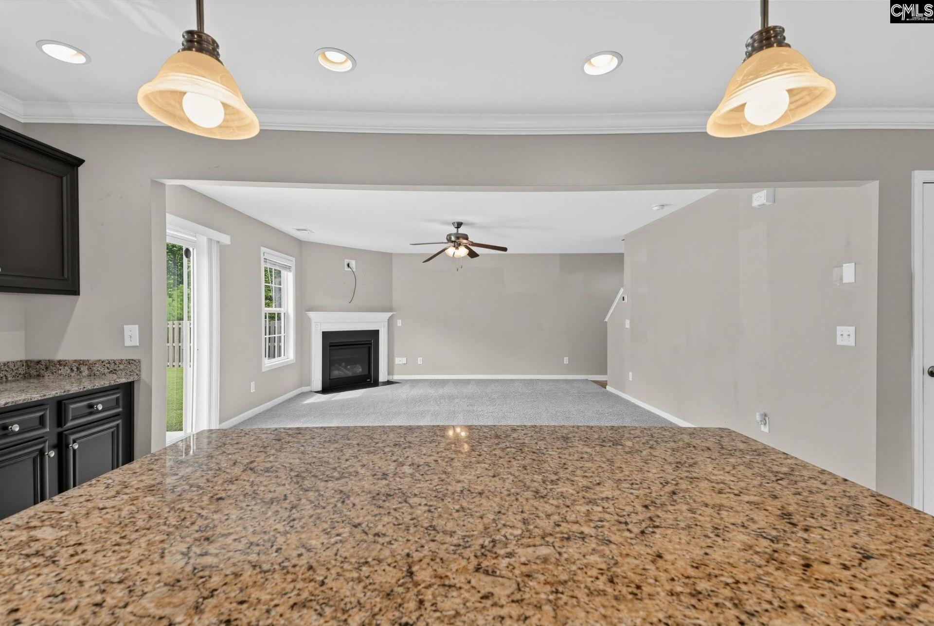 619 Watershed Way  Photo 11