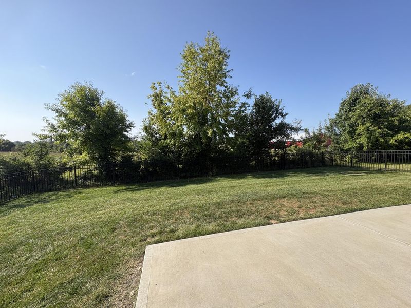 6567 Cannondale Drive, Burlington, KY 41005 Photo 30