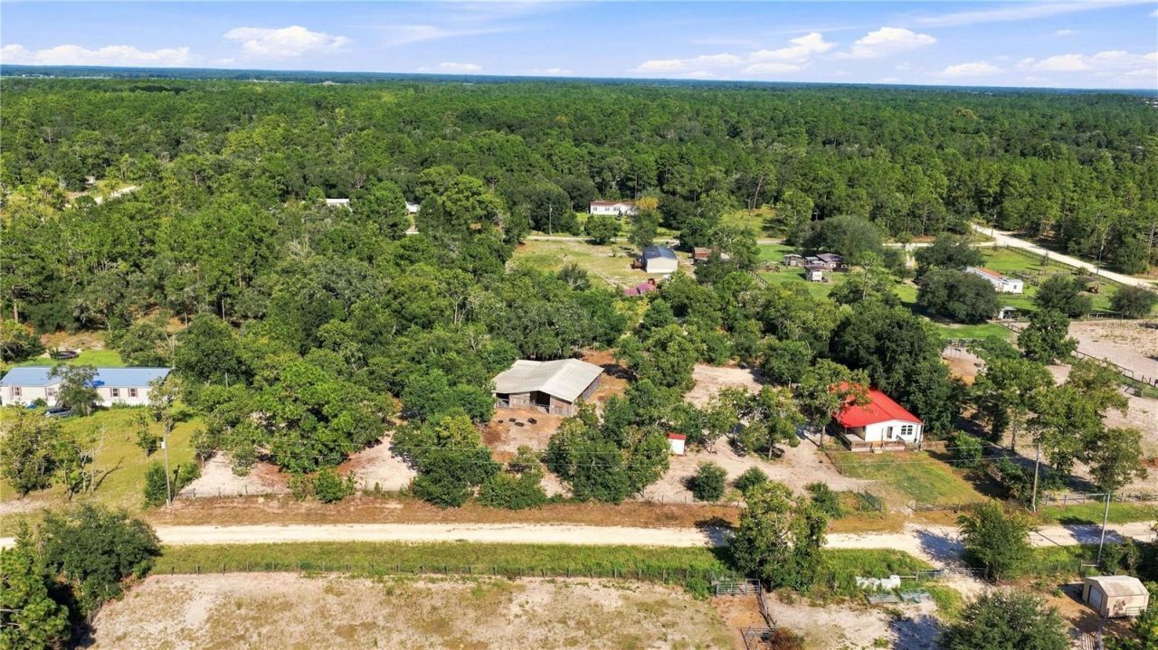 2251 SE 136th Avenue, Morriston, FL 32668 Photo