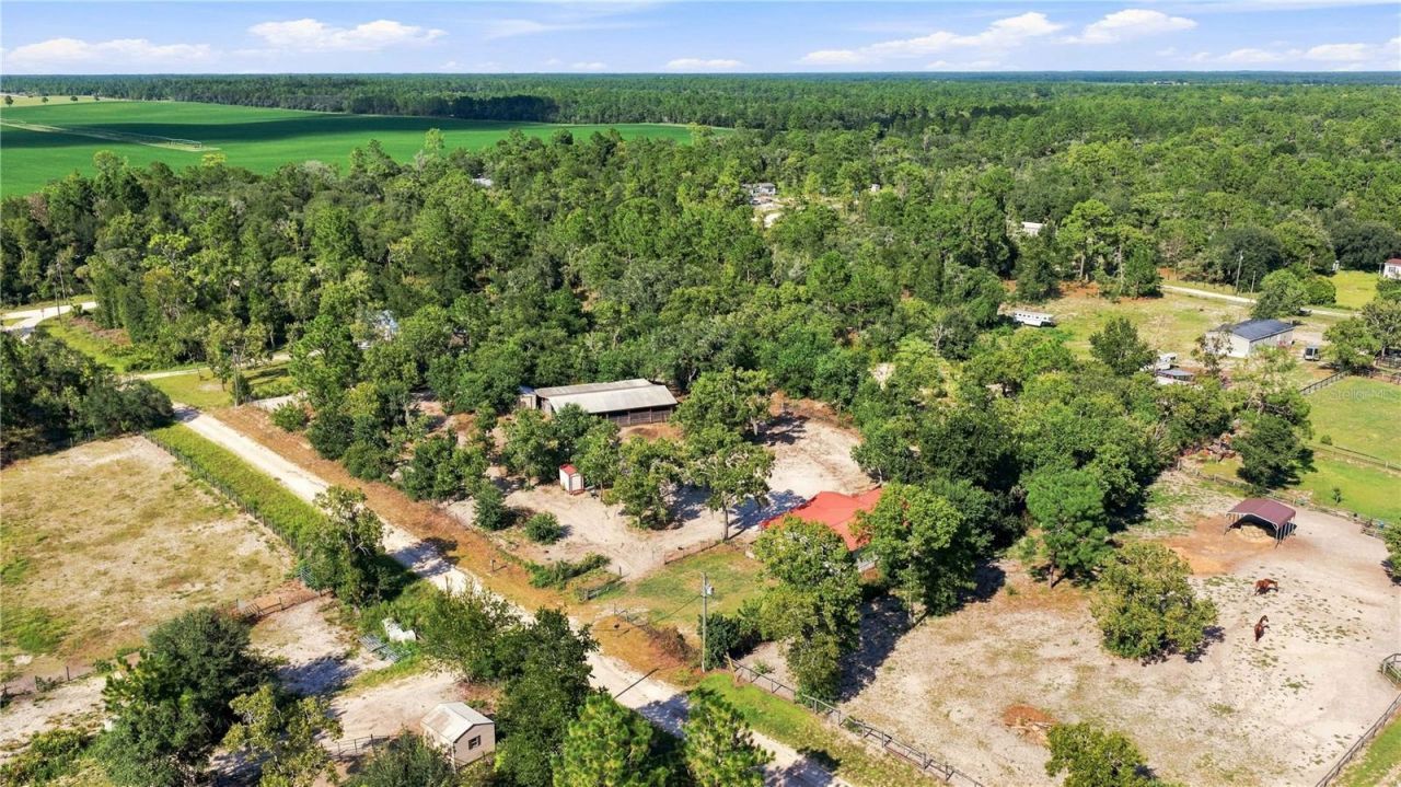 2251 SE 136th Avenue, Morriston, FL 32668 Photo