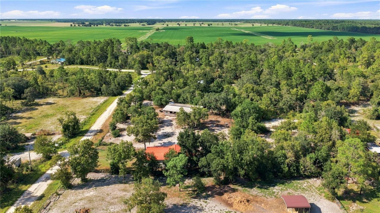 2251 SE 136th Avenue, Morriston, FL 32668 Photo