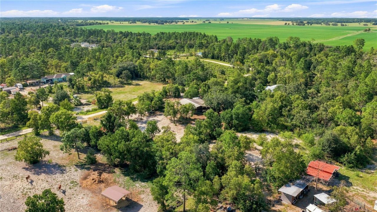 2251 SE 136th Avenue, Morriston, FL 32668 Photo