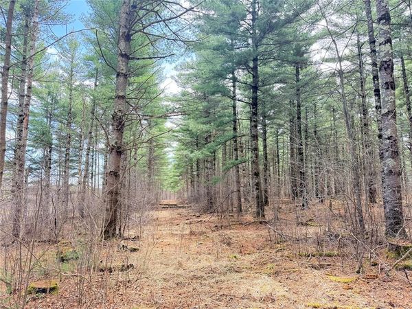 0 Star Lake Road, Rice Lake, WI 54868