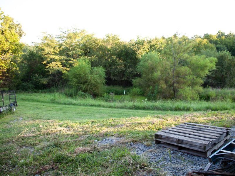 453 Chapel Road, Mount Olivet, KY 41064 Photo 35