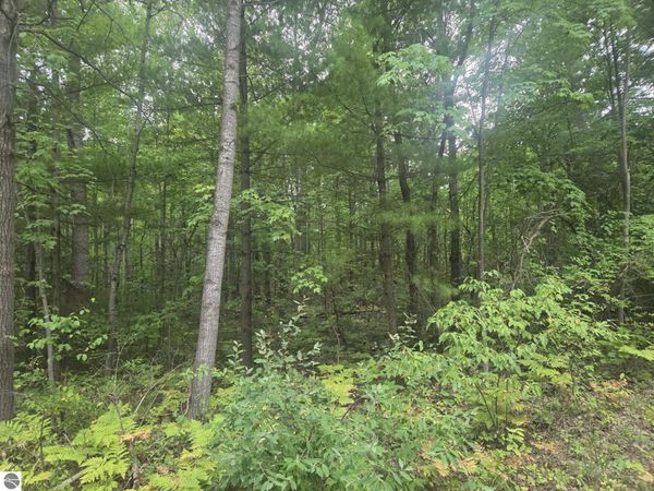 45th Avenue, Barryton, MI 49305