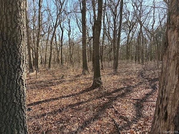 Woodlot Road , Ridge, NY 11961