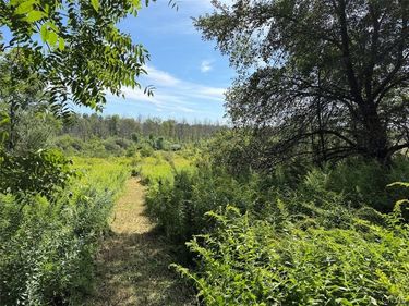 Dye Road, South Dayton, NY 14138