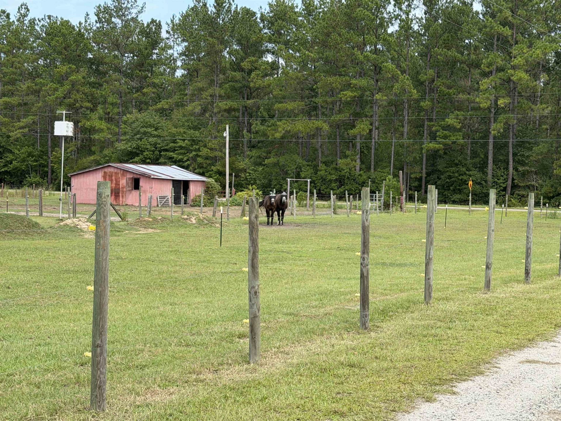4224 Horse Pen Bay Rd.  Photo 25