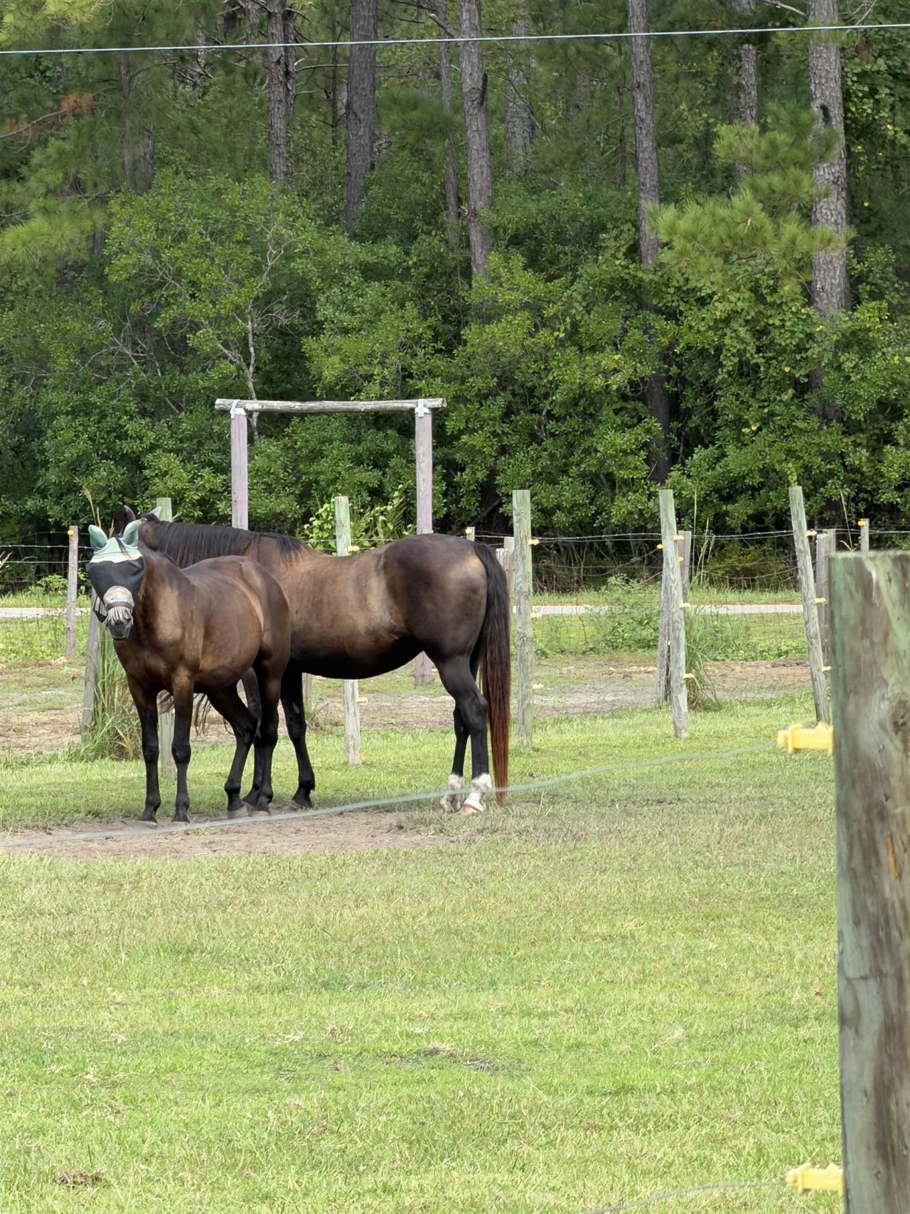 4224 Horse Pen Bay Rd.  Photo 26