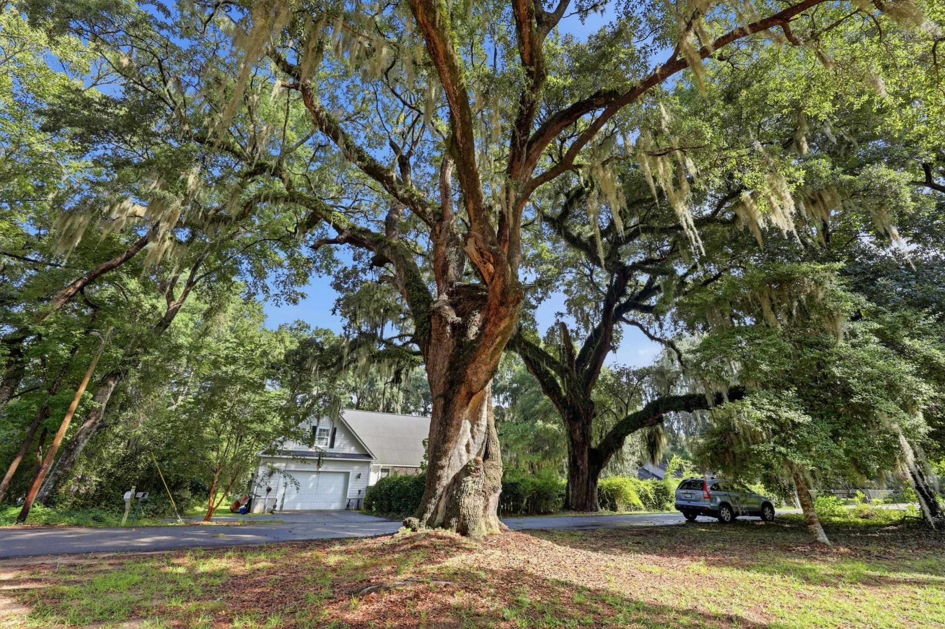 78 Sandpiper Ln.  Photo 40