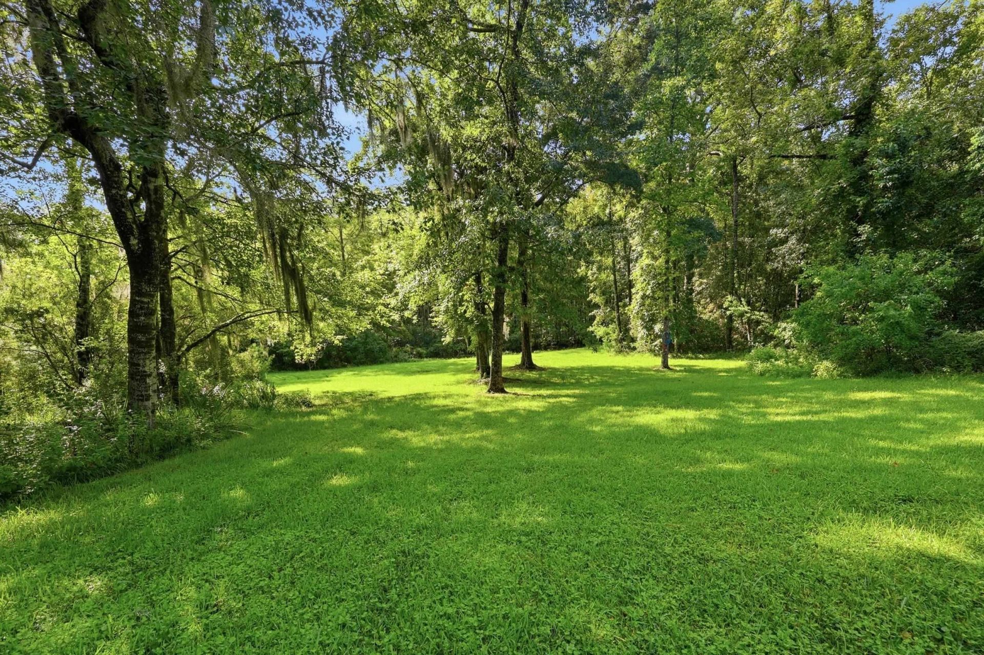 78 Sandpiper Ln.  Photo 41