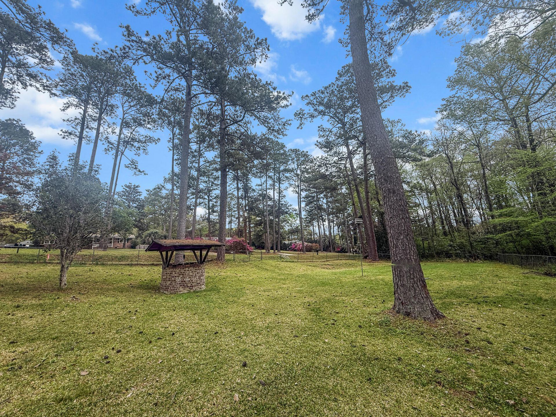 107 Woodland Drive Photo 50