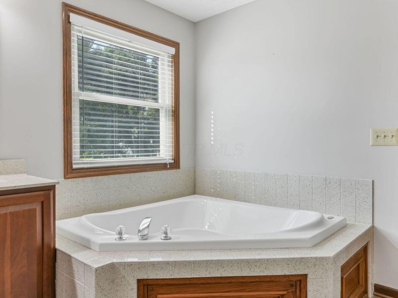 3173 Jergens Place, Hilliard, OH 43026 Photo 62