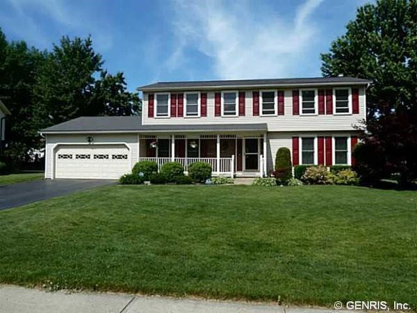 19 Snowy Owl , Rochester, NY 14612
