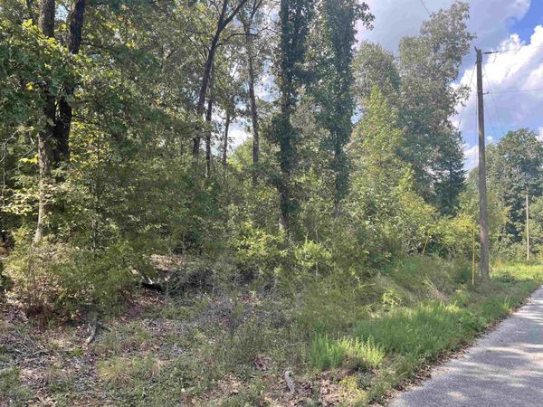 000 Maters Lane , Mountain View, AR 72560