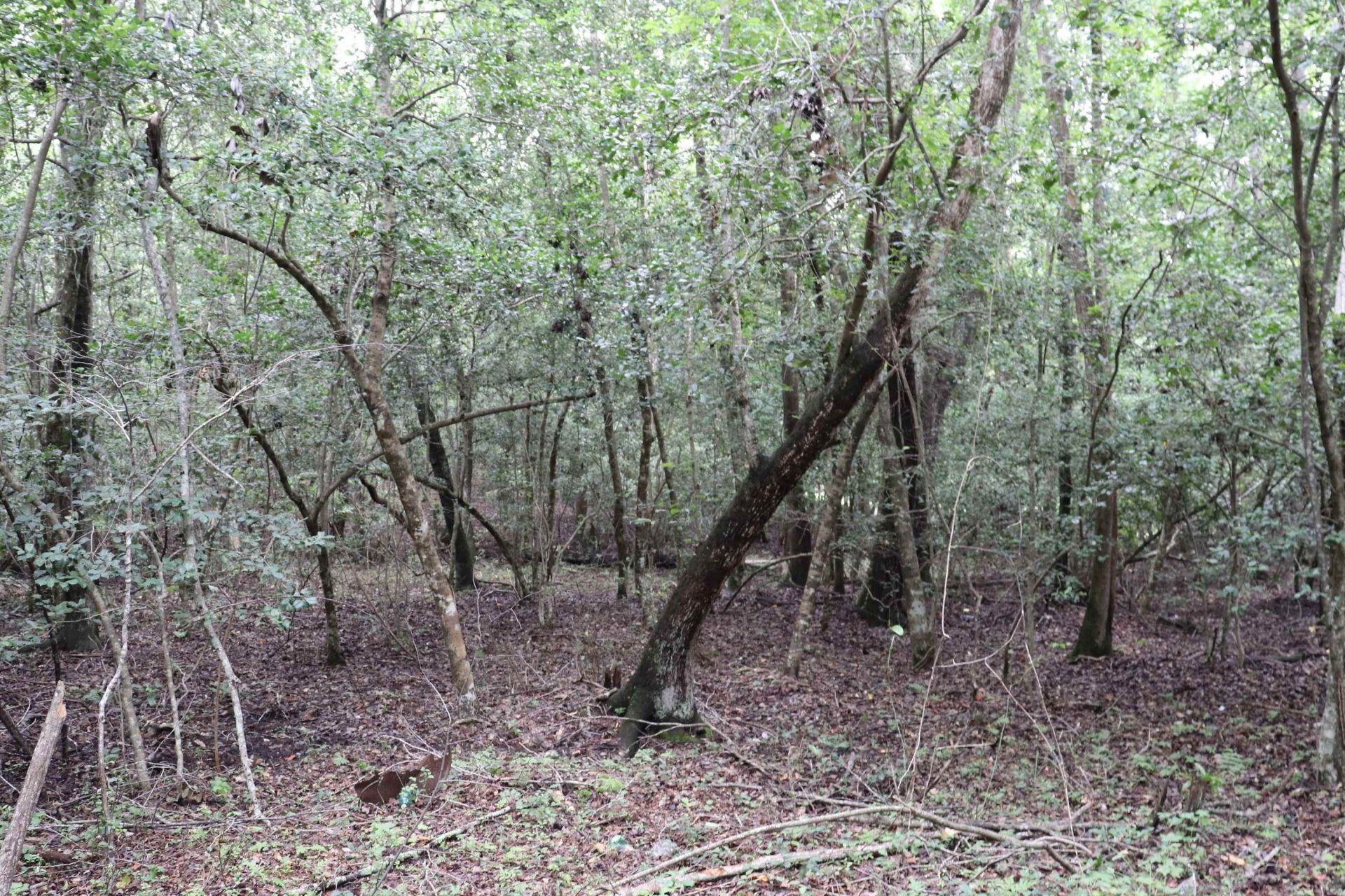 Young Circle  Photo 10