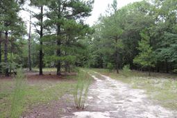 Young Circle  photo 4