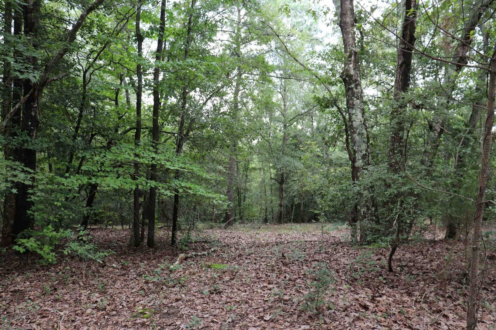 Young Circle  Photo 6