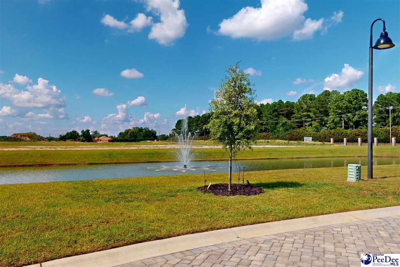 1991 Belardi Vera Drive Photo 45