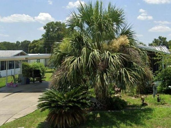 2956 SW 89TH PLACE , OCALA, FL 34476