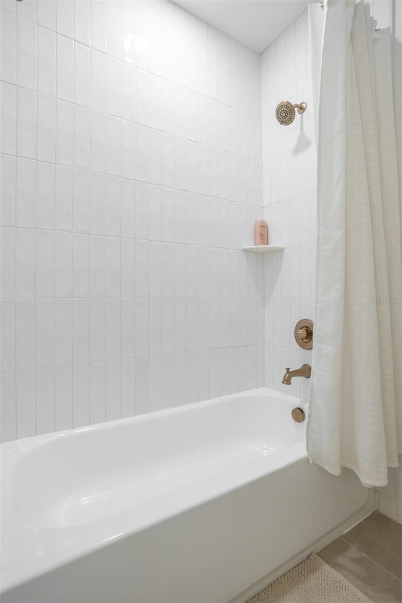 3206 W Arch Street, Tampa, FL 33607 Photo
