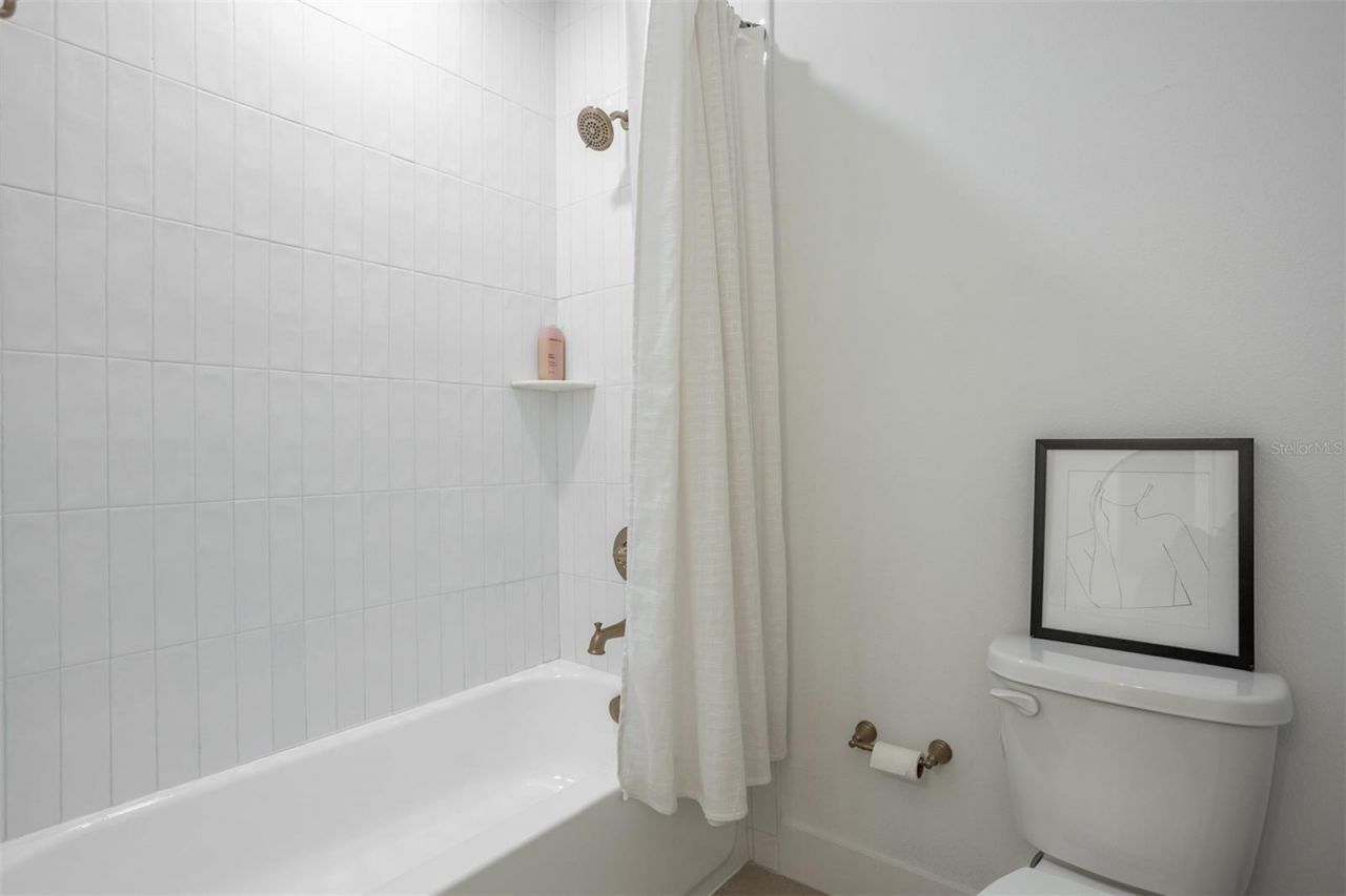 3206 W Arch Street, Tampa, FL 33607 Photo