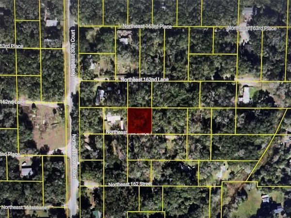 3129 NE 162ND PLACE , CITRA, FL 32113