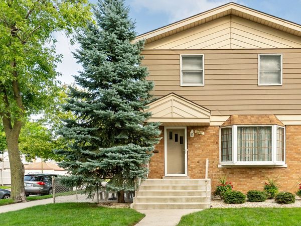 11001 S Ridgeway Avenue , Chicago, IL 60655