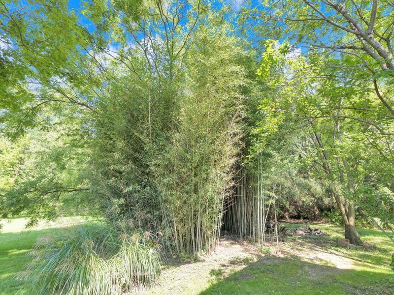 3721 Cedar Hill Road NW, Canal Winchester, OH 43110 Photo 69