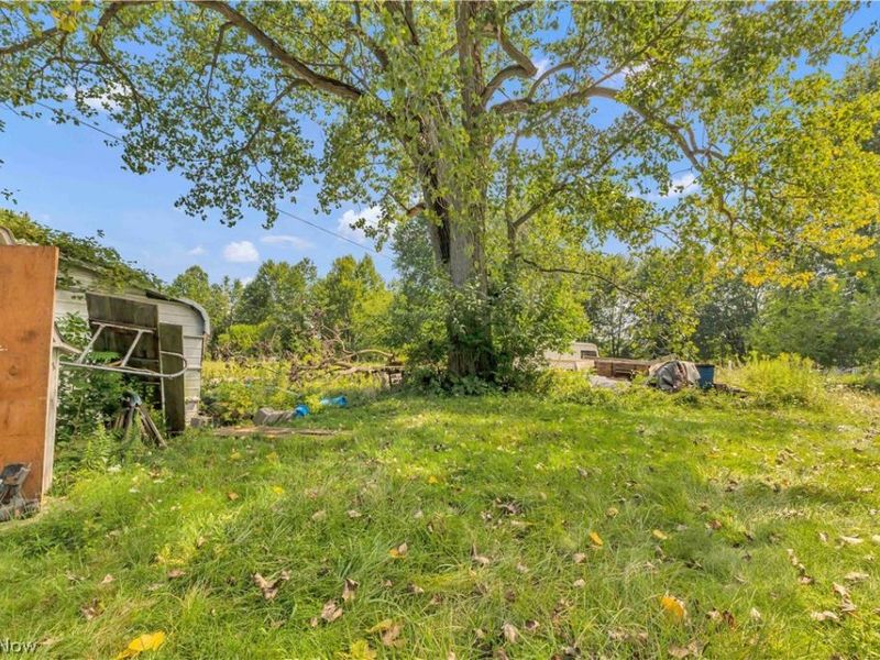 36913 Chestnut Ridge Road, Lorain, OH 44035 Photo 23