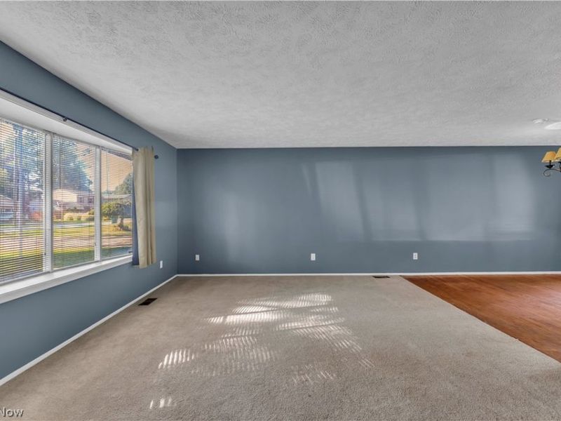 6033 Harrison Street, Mentor, OH 44060 Photo 5